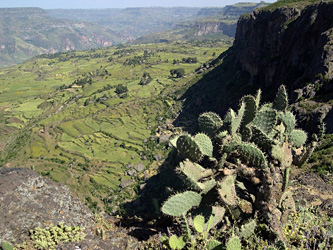 Debre Libanos 5