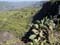 Debre Libanos 5
