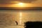 Lac Awassa 3