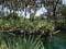 Parc national Awash 4