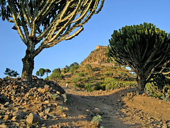 Axum 4