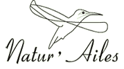 Logo Natur'Ailes